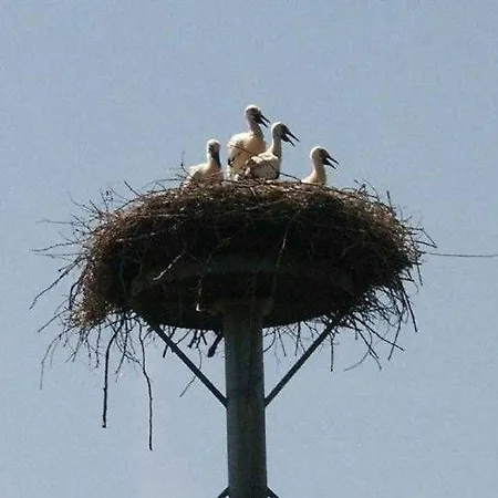 Weitblick Holiday home *