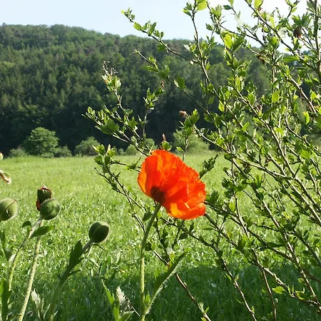 Weitblick * Anraff