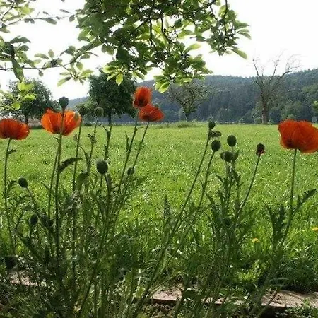Weitblick Holiday home Anraff